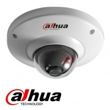 Dahua DH-IPC-HD2100P